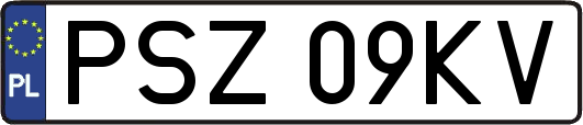 PSZ09KV