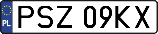 PSZ09KX