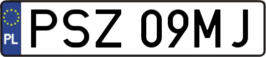 PSZ09MJ
