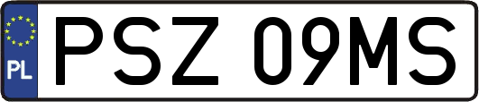 PSZ09MS