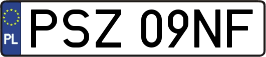 PSZ09NF