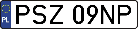 PSZ09NP