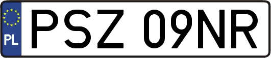 PSZ09NR