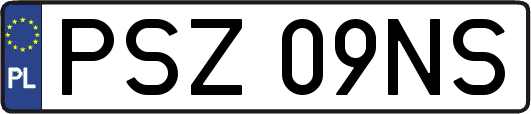PSZ09NS