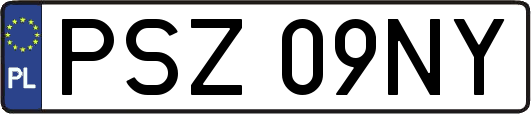 PSZ09NY