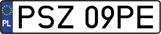 PSZ09PE