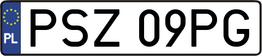 PSZ09PG