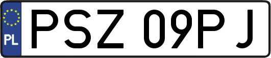 PSZ09PJ