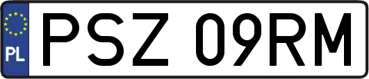 PSZ09RM