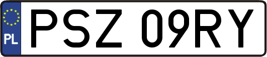 PSZ09RY