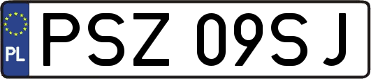 PSZ09SJ