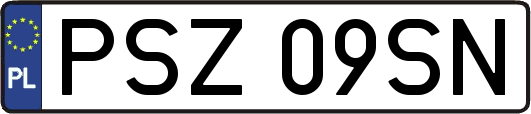 PSZ09SN