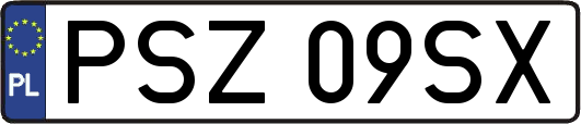 PSZ09SX