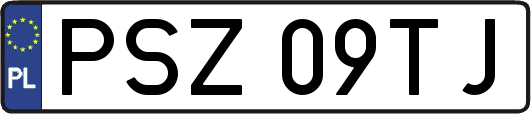 PSZ09TJ