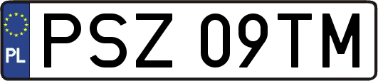 PSZ09TM