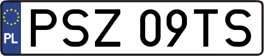 PSZ09TS
