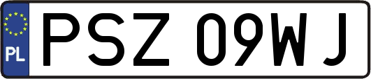 PSZ09WJ