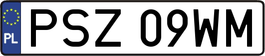 PSZ09WM