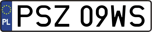 PSZ09WS