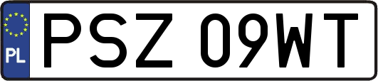 PSZ09WT