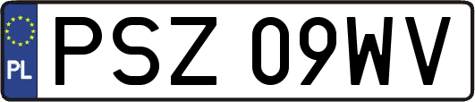 PSZ09WV