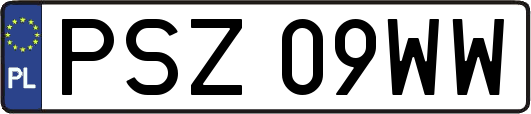 PSZ09WW
