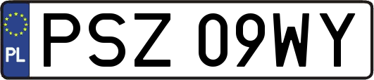 PSZ09WY