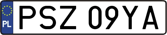 PSZ09YA