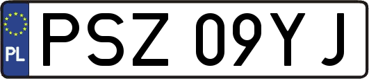 PSZ09YJ