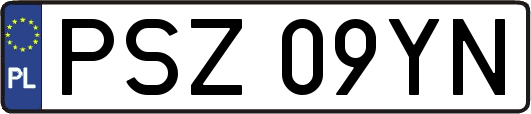 PSZ09YN