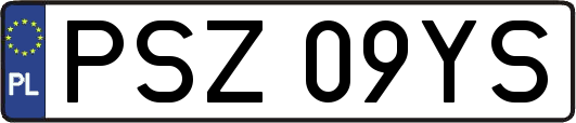 PSZ09YS