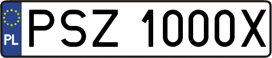 PSZ1000X