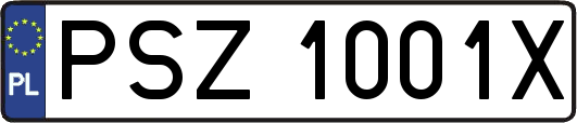 PSZ1001X