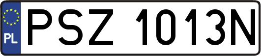 PSZ1013N