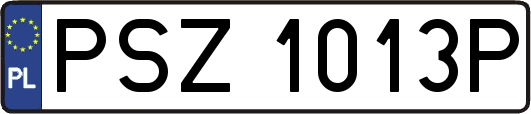 PSZ1013P