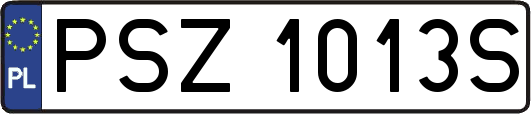 PSZ1013S