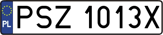 PSZ1013X