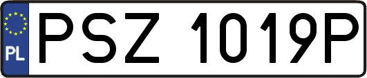 PSZ1019P