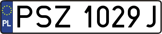 PSZ1029J