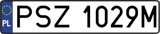 PSZ1029M