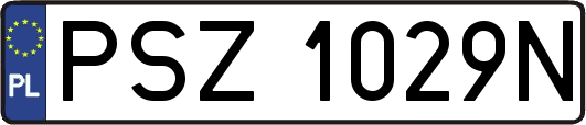 PSZ1029N