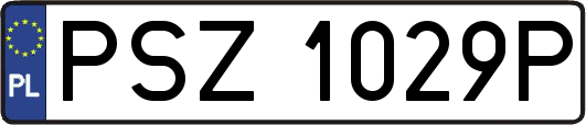PSZ1029P