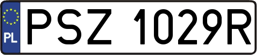 PSZ1029R