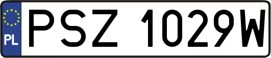 PSZ1029W
