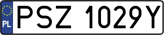 PSZ1029Y