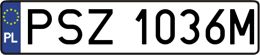 PSZ1036M