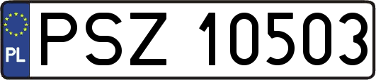PSZ10503