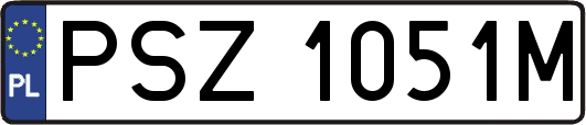 PSZ1051M