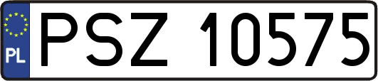 PSZ10575