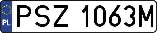 PSZ1063M